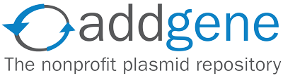 Plasmids 101: What Is A Plasmid?