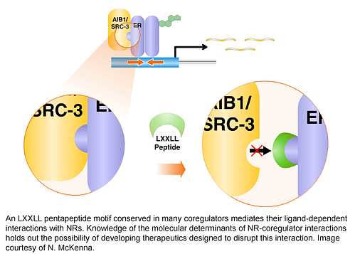 Nuclear receptors