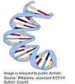 DNA