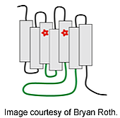 DREADD chemogenetics