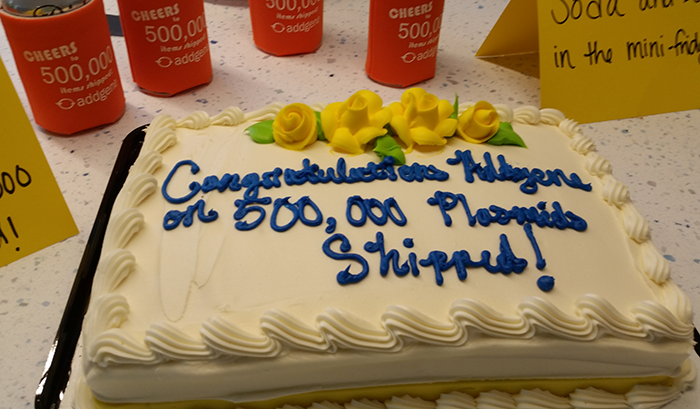 Cake to celebrate Addgene having shipped 500,000 plasmids.