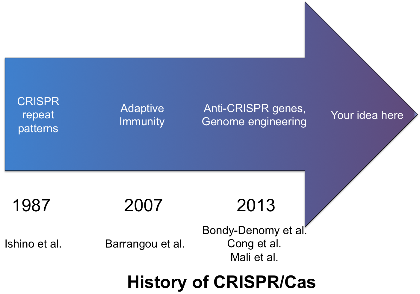 history of CRISPR-Cas from 1987 to 2013. 1987: CRISPR repeat patterns (Ishino et al.). 2007: Adaptive immunity (Barrangou et al.). 2013: Anti-CRISPR genes and genome engineering (Bondy-Denomy et al., Cong et al., Mali et al.). An arrow pointing into the future is labeled "Your idea here."