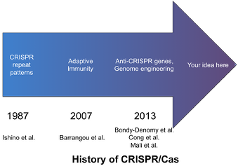 history of CRISPR cas from 1987