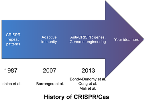history of CRISPR-Cas from 1987 to 2013. 1987: CRISPR repeat patterns (Ishino et al.). 2007: Adaptive immunity (Barrangou et al.). 2013: Anti-CRISPR genes and genome engineering (Bondy-Denomy et al., Cong et al., Mali et al.). An arrow pointing into the future is labeled "Your idea here."