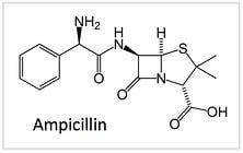 Structure of Ampicillin