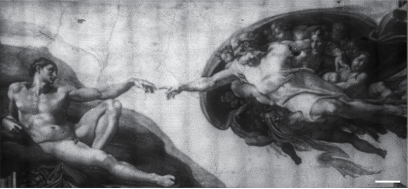 bacteriograph of Michelangelo's "The Creation of Adam."