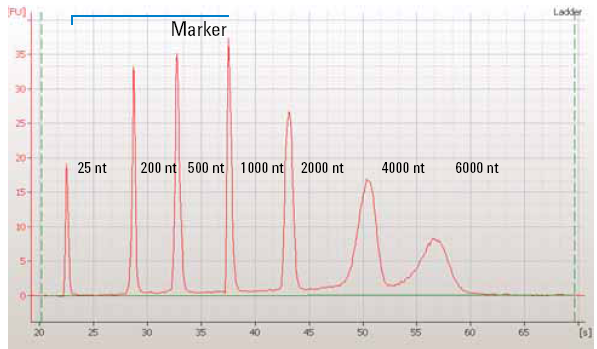 RNA-ladder-from-bioanalyzer