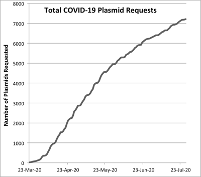 A graph of total COVID-19 plasmid requests at Addgene. Dates are on the x-axis and cumulative number of plasmid requests are on the y axis. The line depicting requests starts at zero and exceeds 7,000 after July 23,2020