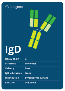 IgD isotype trading card