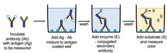 Steps of a Competitive ELISA