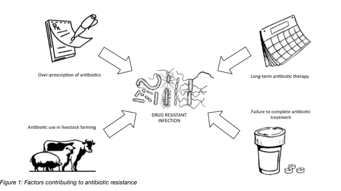 Factors Contributing to Antibiotic Resistance
