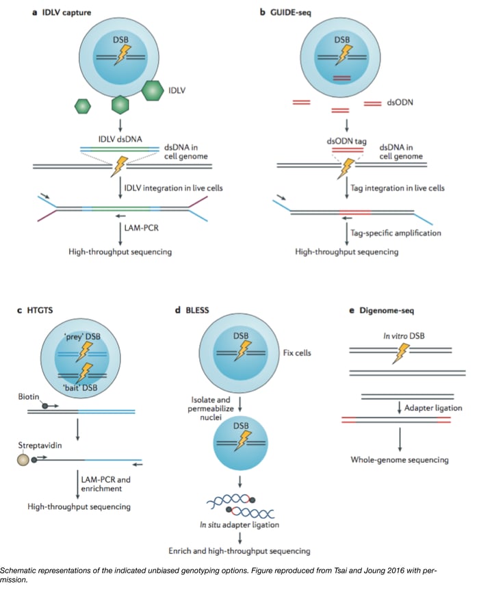 Unbiased Sequencing Methods