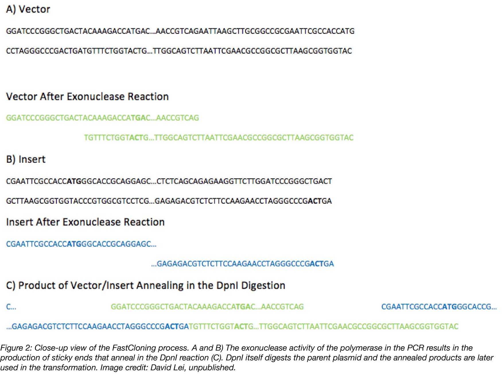 FastCloning A Newer, Simpler Cloning Technique