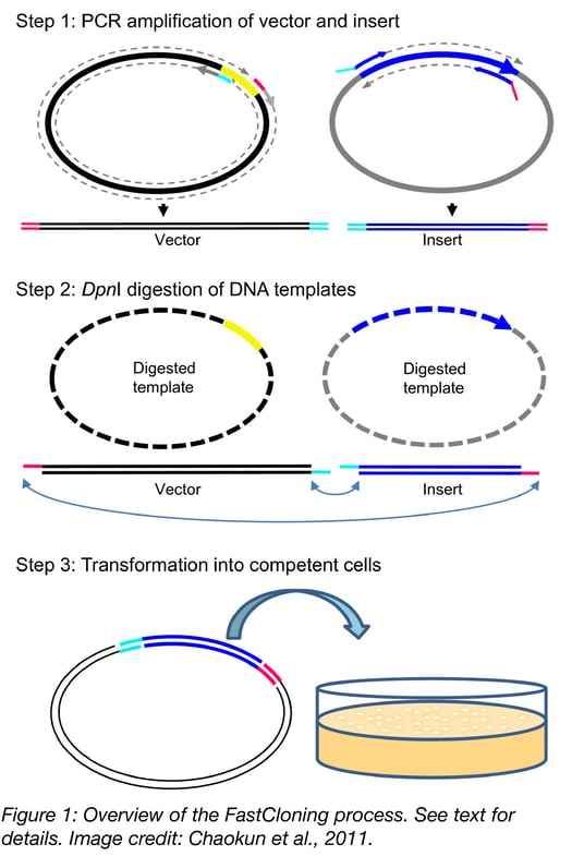 FastCloning A Newer, Simpler Cloning Technique