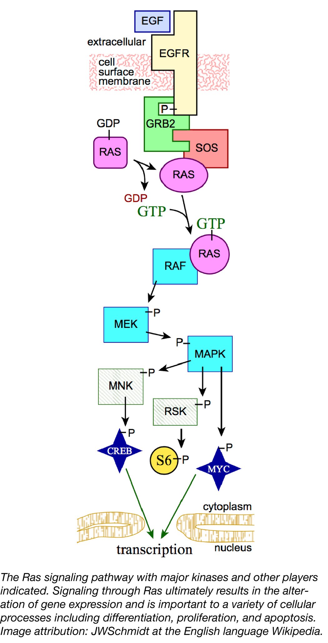 27 Hot Plasmids from 2016