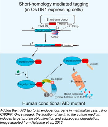 AID Tagging