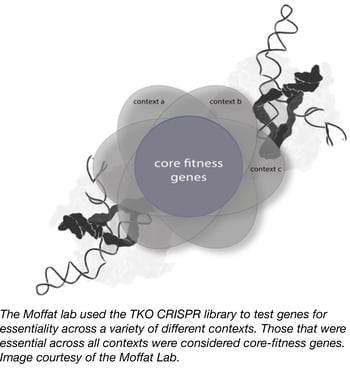 TKO CRISPR Library