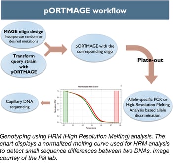 pORTMAGE workflow