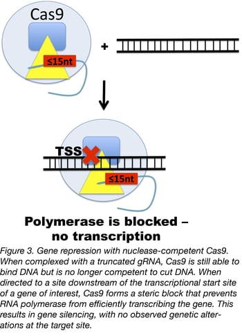 gene repression with nuclease-competent Cas9