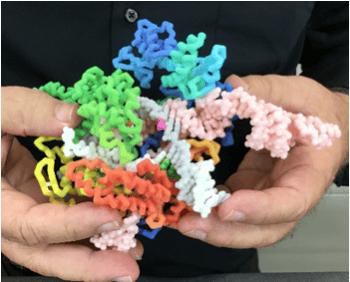 Protein modeling