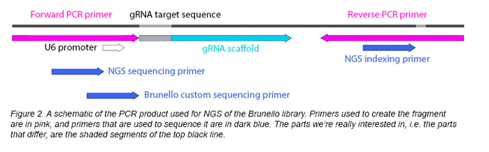 NGS Library PCR Schematic