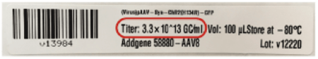 Barcode label listing the virus name, Addgene catalog number, Titer ("1.2E13 GC/mL"), volume, and lot number.