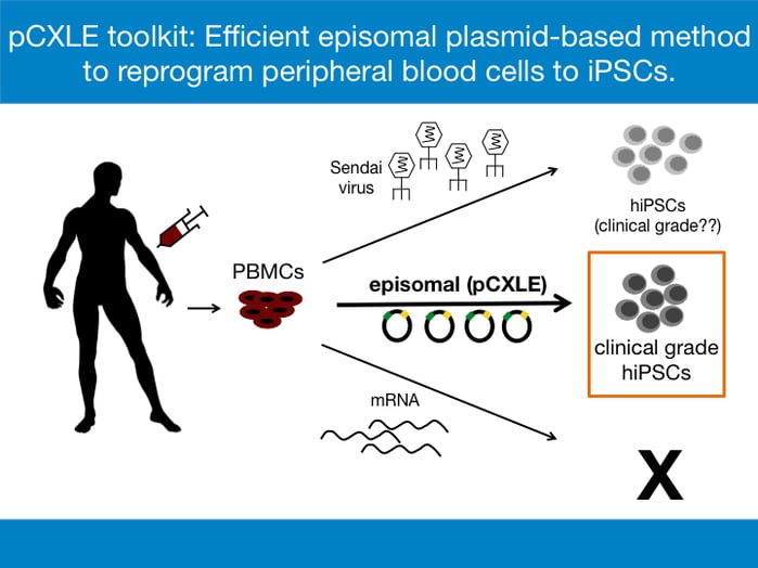 pCXLE Toolkit is an episomal plasmid-based method to reprogram peripheral blood cells to iPSCs