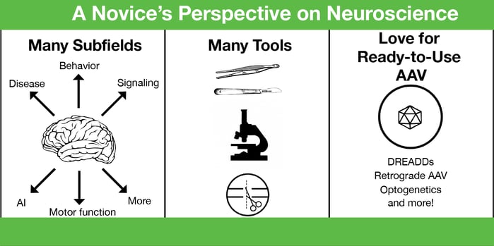 Many tools and subfields in neuroscience