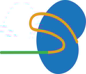 Cas9 with gRNA