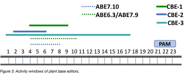 Activity window plant base editors