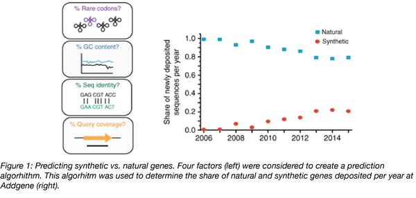 predicting Natural versus synthetic gene