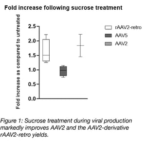 sucrose treatment during viral production improves AAV2 yields