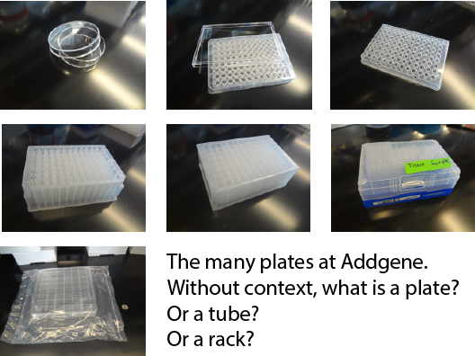 Types of plates used in a lab