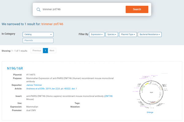 Search a PI on Addgene's site with gene