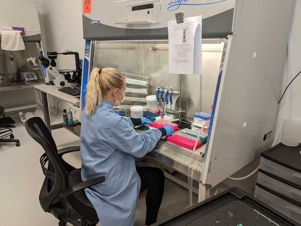 An Addgenie wears a lab coat, gloves, and mask while working in the tissue culture hood.