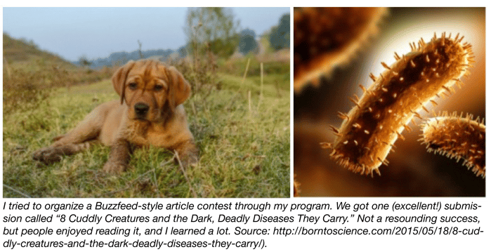 Puppies and bacterial diseases they carry