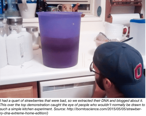 Extracting DNA from a container of strawberries