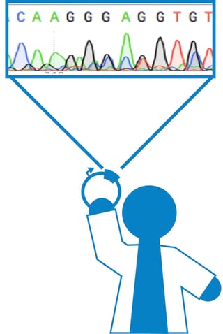 Verifying plasmid sequence