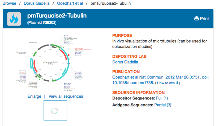 top part of an Addgene plasmid page