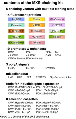 Contents of the MXS-chaining kit