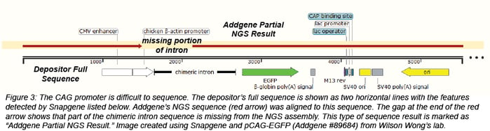 NGS partial sequencing of a plasmid