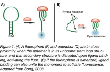 aptamer diagram