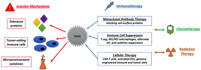 Immunotherapies and Evasion Mechanisms