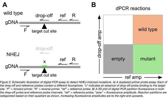 Digital PCR can be used to detect NHEJ-induced mutations