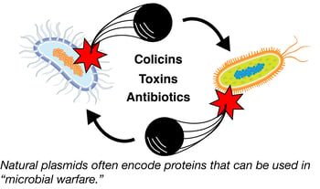 natural plasmids encode proteins that can be used in microbial warfare