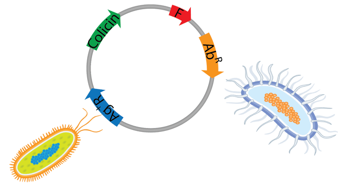 Microbial warfare