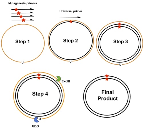 pFunkel Overview