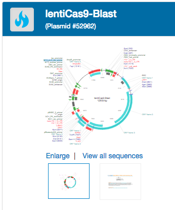 lentiCas9-Blast