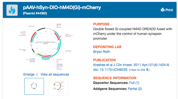 pAAV-hSyn-DIO-hM4D(Gi)-mCherry