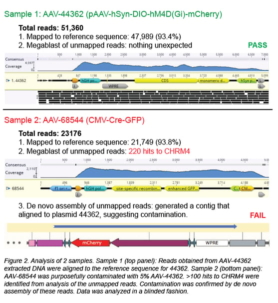 viral genome sequencing analysis